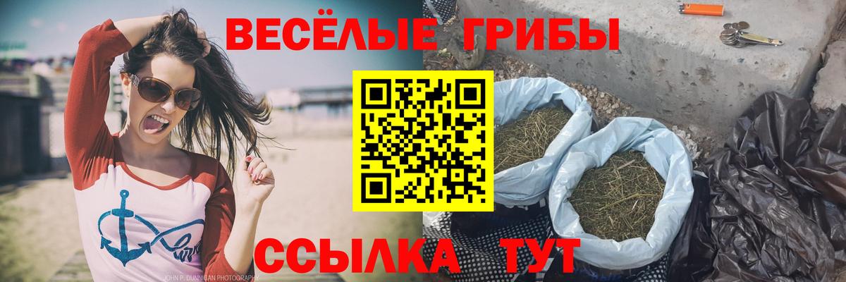 Сибай  Псилоцибиновые грибы прущие грибы  Вход с VPN  Псилоцибиновые грибы MAGIC MUSHROOMS 